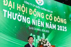 Quốc Cường Gia Lai xoay gần 1.500 tỷ đồng để lấy lại dự án 'sống còn'