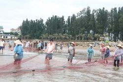 Giám đốc sở, chủ tịch xã ở Thanh Hóa xuống biển kéo rùng, kích cầu du lịch