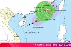 Theo dõi chặt chẽ diễn biến, chủ động ứng phó với bão số 5