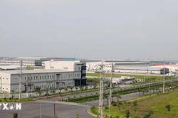 Sức hút nơi 'đất lành,' 'đất sạch'