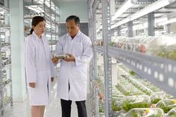 Mô hình phát triển mới: Khơi dậy sức sáng tạo, phát huy nguồn lực trí thức