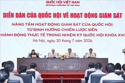 Giám sát để thúc đẩy thực thi và kiến tạo phát triển