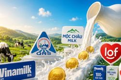 Cổ tức tiền mặt “ngọt như sữa” của doanh nghiệp sữa Việt