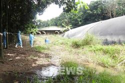 Nông nghiệp tuần hoàn Tây Ninh: Khép kín chuỗi giá trị xuất khẩu