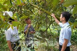 Long Tiên chuyển mình từ vùng đất cách mạng
