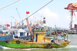 Chủ tịch UBND tỉnh Gia Lai chỉ đạo khẩn trương khắc phục tồn tại trong chống khai thác IUU