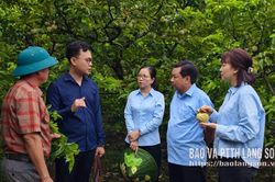 Khi chính quyền gần dân
