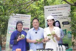 Khi nông sản lên số