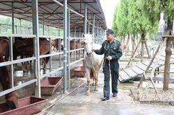 Sẵn sàng cho chương trình biểu diễn đặc biệt tại Không gian văn hoá đường Hùng Vương