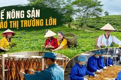 Để nông sản vào thị trường lớn