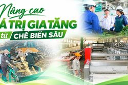 Nâng cao giá trị gia tăng từ chế biến sâu