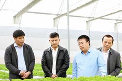 Bứt phá từ số hóa nền nông nghiệp