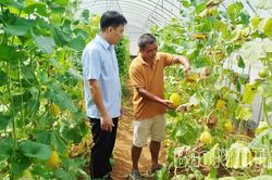 Động lực phát triển nông nghiệp bền vững