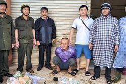 Bắt giữ đối tượng cắt trộm dây điện trong đêm ở Lâm Đồng