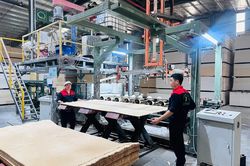Doanh nghiệp và bài toán tự động hóa