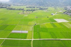 Giữ 'hạt vàng' giữa dòng chảy mới