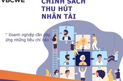 Góc nhìn văn hoá: Thu hút nhân tài - Đãi ngộ chỉ là điểm bắt đầu