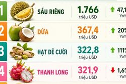 Xuất khẩu rau quả 8 tháng đầu năm 2026 đạt gần 6 tỷ USD
