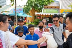 Du lịch Quảng Ninh, Hải Phòng khởi sắc nhờ môi trường an toàn, thân thiện