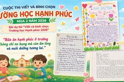 Khi bữa ăn bán trú trở thành điểm tựa học đường