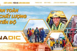 Phát triển Đầu tư Xây dựng Việt Nam (Vinadic) được giao, thuê hơn 4,8ha đất làm chợ nguyên liệu gỗ Vân Hà