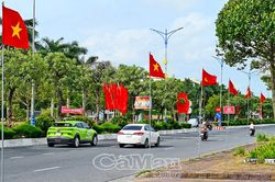 Rực rỡ mùa hoa Tết độc lập