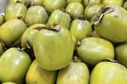 Loại quả đặc sản có ở Thái Nguyên giá 170.000 đồng/kg, trồng trong sân nhà ăn suốt nhiều năm, còn chiêu tài hút lộc