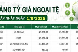 Tỷ giá ngoại tệ ngày 1/9: USD bán ra 26.260 đồng