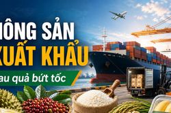 Nông sản xuất khẩu: Rau quả tiến sát 5,9 tỷ USD, cà phê vượt 6 tỷ USD