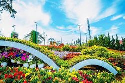 Đẩy mạnh quảng bá Festival Hoa Đà Lạt lần thứ XI trên đa nền tảng