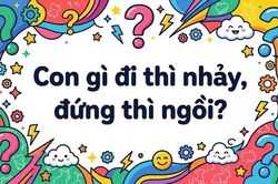 99% người không giải được câu đố này: Con gì đi thì nhảy đứng thì ngồi?
