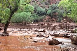 Gần 80 người dược cứu, hơn 20 người mất tích sau lũ quét ở Arizona, Mỹ
