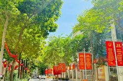 Phường Phương Liệt rực rỡ cờ hoa mừng Quốc khánh 2-9