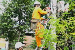 Lịch cúp điện Tây Ninh (Long An cũ) từ ngày 1 – 6/9/2026: Khu dân cư nằm trong diện cúp điện xếp hàng dài
