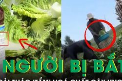 3 người bị bắt sau vụ cải thảo 'tẩm' hoá chất gây ung thư ở Trung Quốc