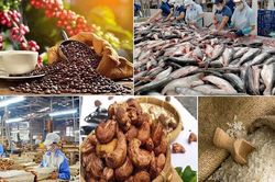 Triển khai truy xuất nguồn gốc nông, lâm, thủy sản trên địa bàn TPHCM