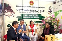 Đưa cà-phê Việt Nam tiếp cận với các đối tác tiềm năng tại Mozambique