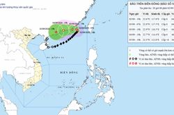 Dự báo đến ngày 4-9, bão số 5 suy yếu thành áp thấp nhiệt đới