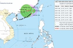 Cập nhật mới nhất về bão số 5