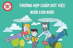 Chấm dứt nuôi con nuôi - không để trẻ 'mắc kẹt' trong những gia đình không còn phù hợp