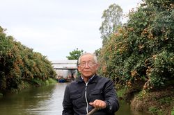 Nguyên phó giám đốc sở trồng 20ha thanh nhãn, một vụ thu khoảng 1,5 tỷ đồng