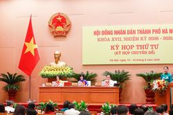 Chánh Văn phòng Đoàn đại biểu Quốc hội và HĐND được xếp ngạch chuyên viên cao cấp