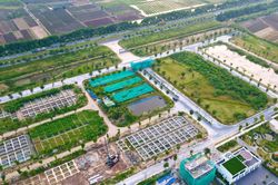 Thời hạn nộp thuế sử dụng đất phi nông nghiệp theo quy định mới