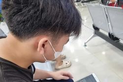 Từ 15/9/2026, tắt hoàn toàn mạng 2G