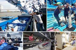 Vị thế Việt Nam - từ tầm nhìn đến hành động