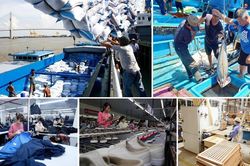 Vị thế Việt Nam - từ tầm nhìn đến hành động