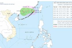 Dự báo đến ngày 4/9, bão số 5 khả năng suy yếu thành áp thấp nhiệt đới