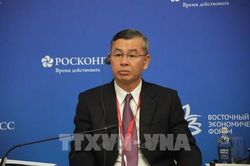 Diễn đàn Kinh tế phương Đông: Việt Nam đề xuất 5 định hướng hợp tác trọng tâm ASEAN-Nga