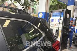 Đề xuất phát triển vùng trồng sắn tập trung gần nhà máy Ethanol Dung Quất