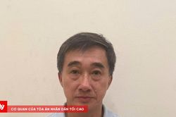 Khởi tố, bắt tạm giam Thứ trưởng Bộ Y tế Trần Văn Thuấn về tội 'Nhận hối lộ'